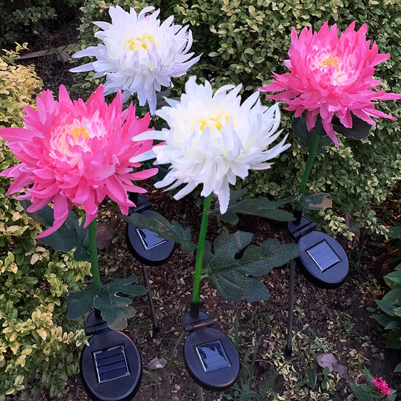"LED krysantemum soldriven lampa, färgskiftande blomdesign, skapar magisk atmosfär, vattentät IP55 för utomhusbruk."