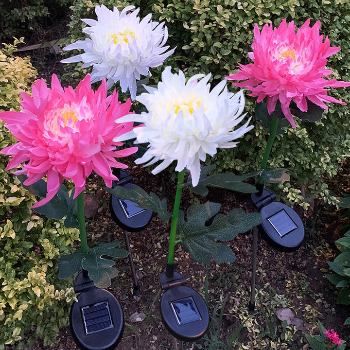 "LED krysantemum soldriven lampa, färgskiftande blomdesign, skapar magisk atmosfär, vattentät IP55 för utomhusbruk."