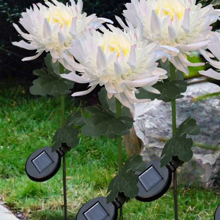 "LED krysantemum soldriven lampa, färgskiftande blomdesign, skapar magisk atmosfär, vattentät IP55 för utomhusbruk."