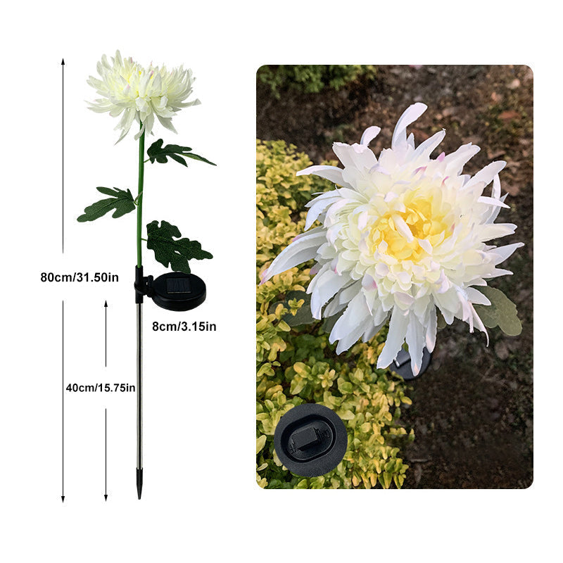 "LED krysantemum soldriven lampa, färgskiftande blomdesign, skapar magisk atmosfär, vattentät IP55 för utomhusbruk."