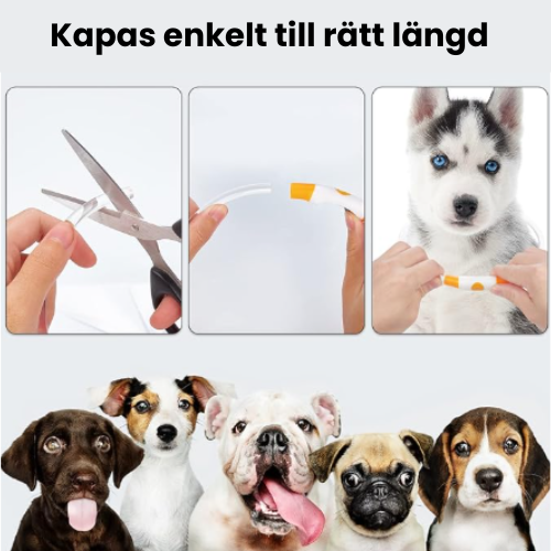 Justerbart LED-halsband för hundar, ökar säkerheten och gör ditt husdjur synligt på kvällen.