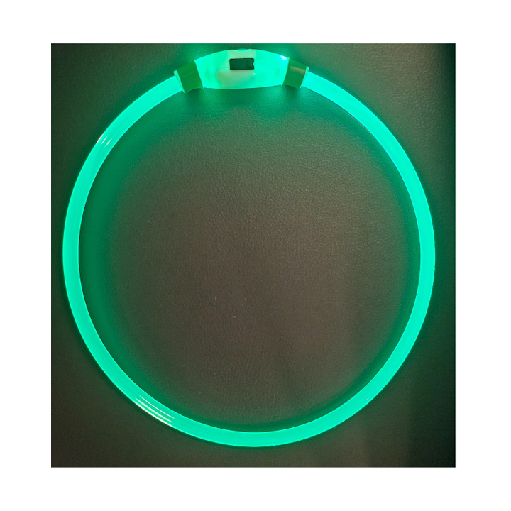 Uppladdningsbart LED-hundhalsband, justerbart för optimal synlighet och säkerhet i mörker.