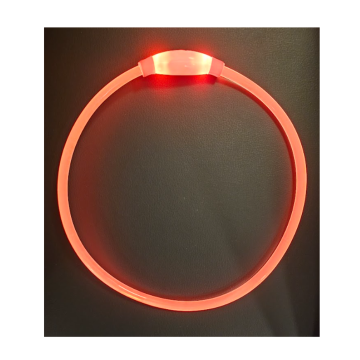 Hund med lysande LED-halsband på kvällspromenad, säkrar trygghet och god synlighet i mörker.