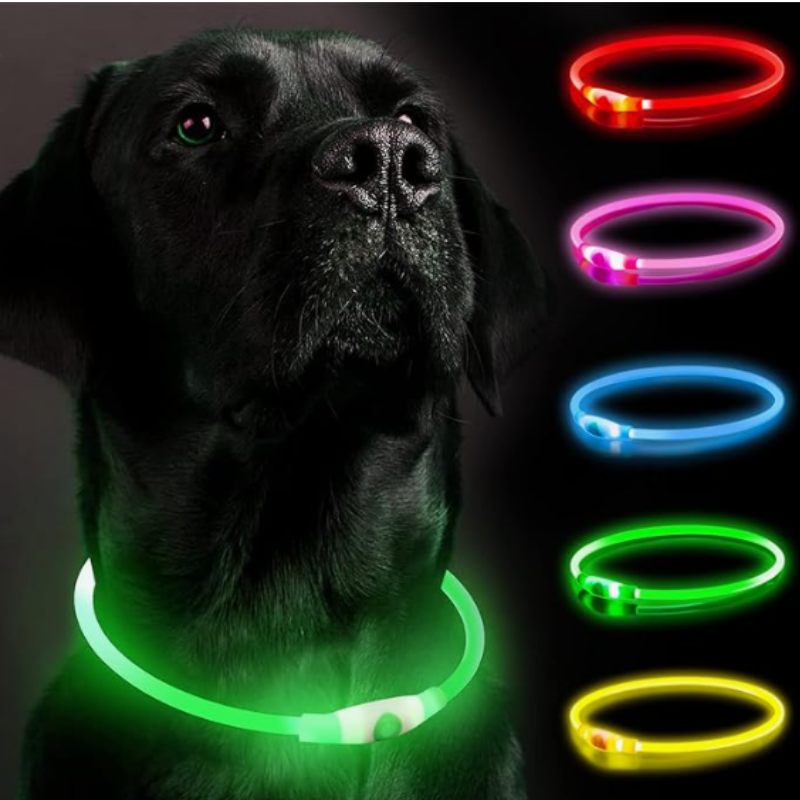 Flexibelt uppladdningsbart silikonhalsband med LED för hund, viktigt för synlighet och säkerhet.