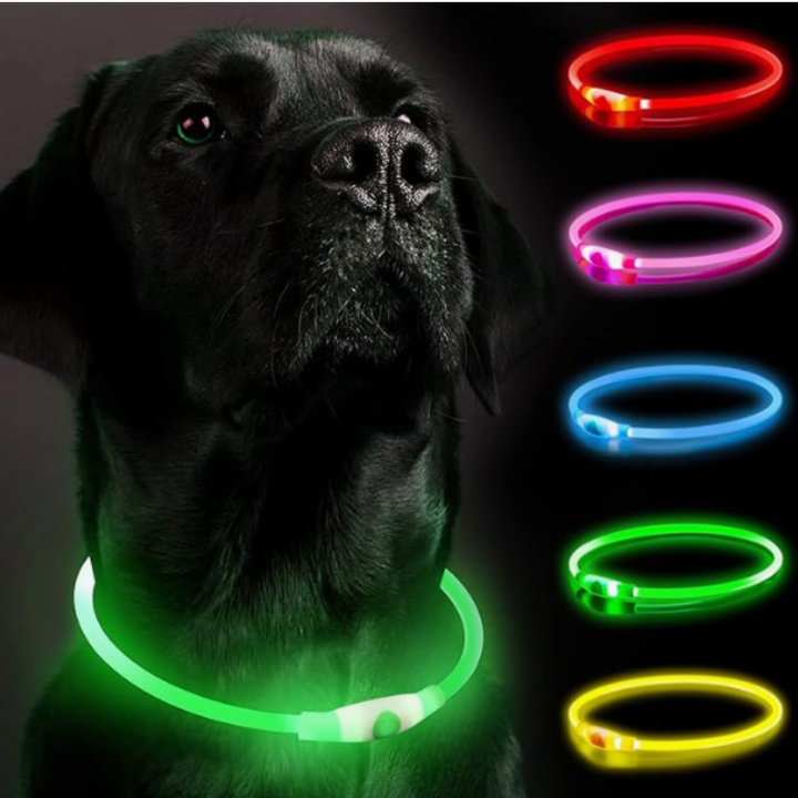 Flexibelt uppladdningsbart silikonhalsband med LED för hund, viktigt för synlighet och säkerhet.