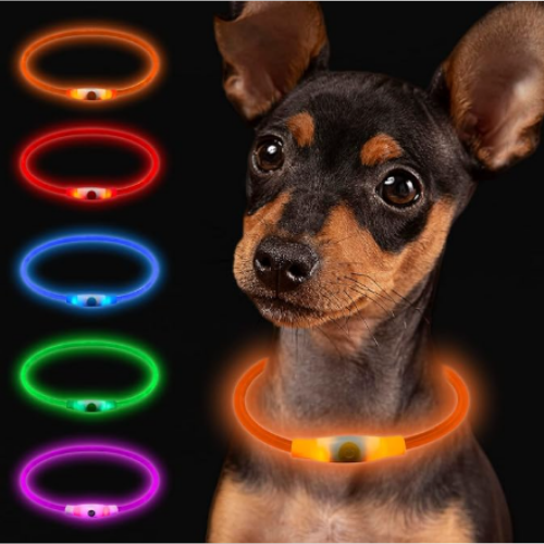 Säkerhetshalsband för hund med starkt LED-ljus, garanterar synlighet och trygghet vid mörka promenader.