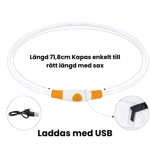 Lätt och uppladdningsbart LED-hundhalsband, essentiell hundutrustning för synlighet och skydd.