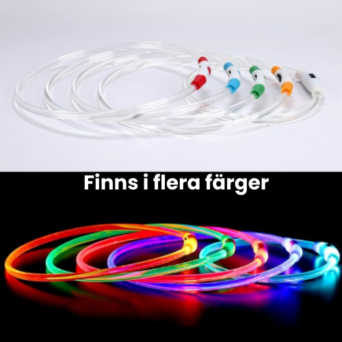 Vattentåligt LED-halsband i silikon för hund, garanterar maximal synlighet under alla väder.