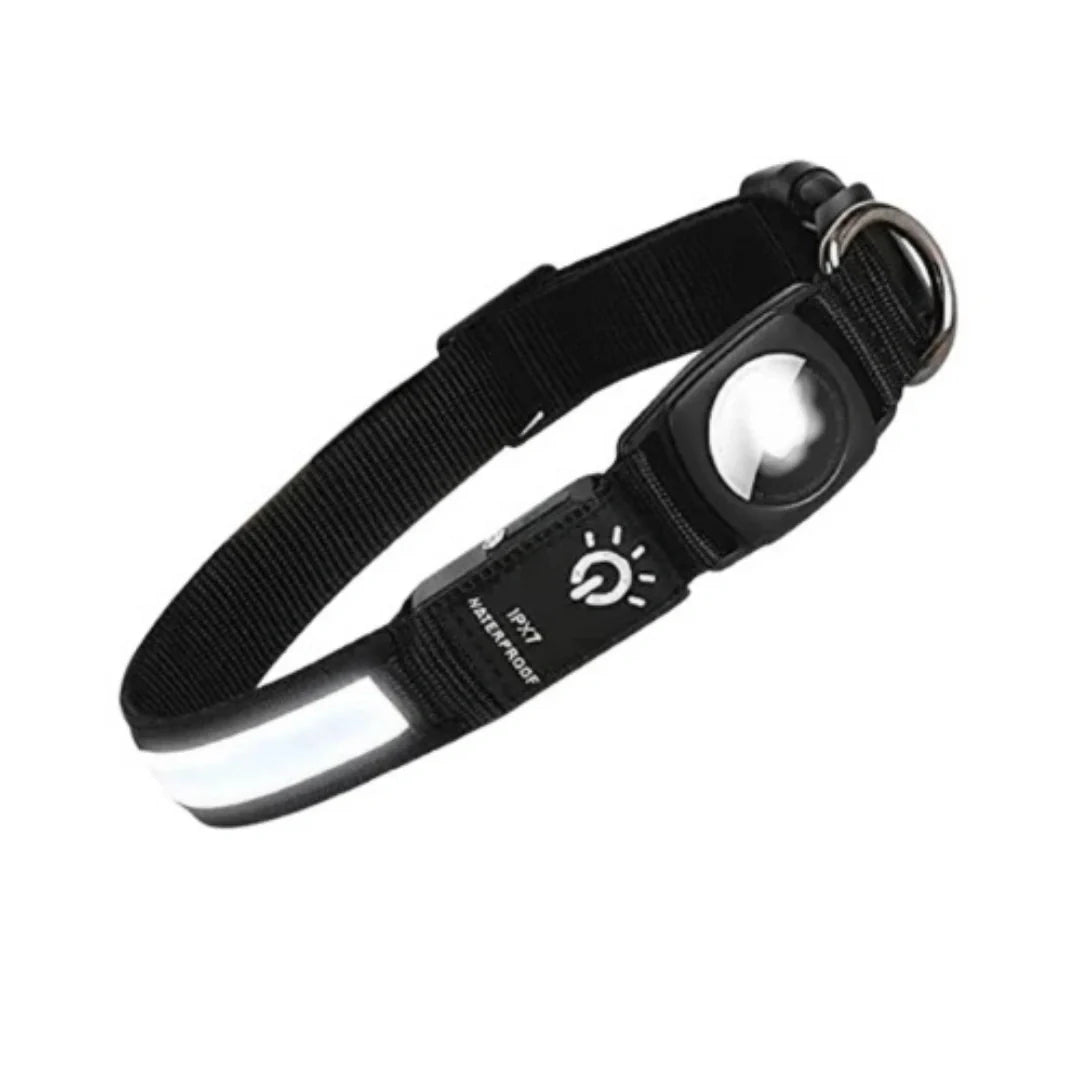 Lysande LED hundhalsband för spårsändare, ger optimal säkerhet och synlighet under nattpromenaden.