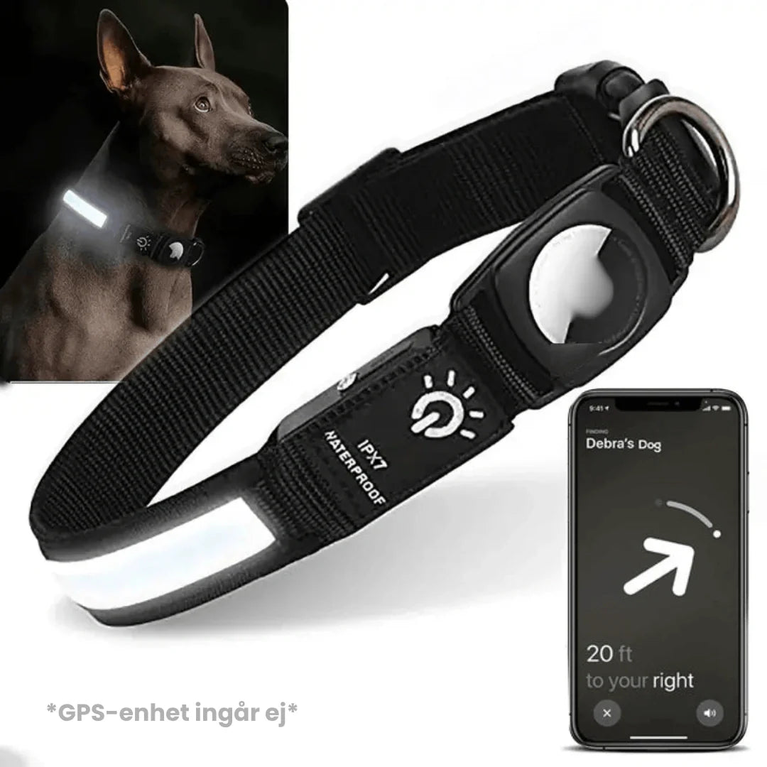 Lysande AirTag hundhalsband, perfekt för att hålla koll på hunden under mörka kvällspromenader.