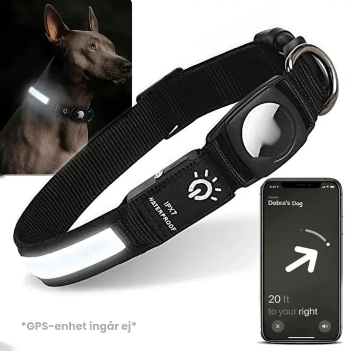 Lysande AirTag hundhalsband, perfekt för att hålla koll på hunden under mörka kvällspromenader.