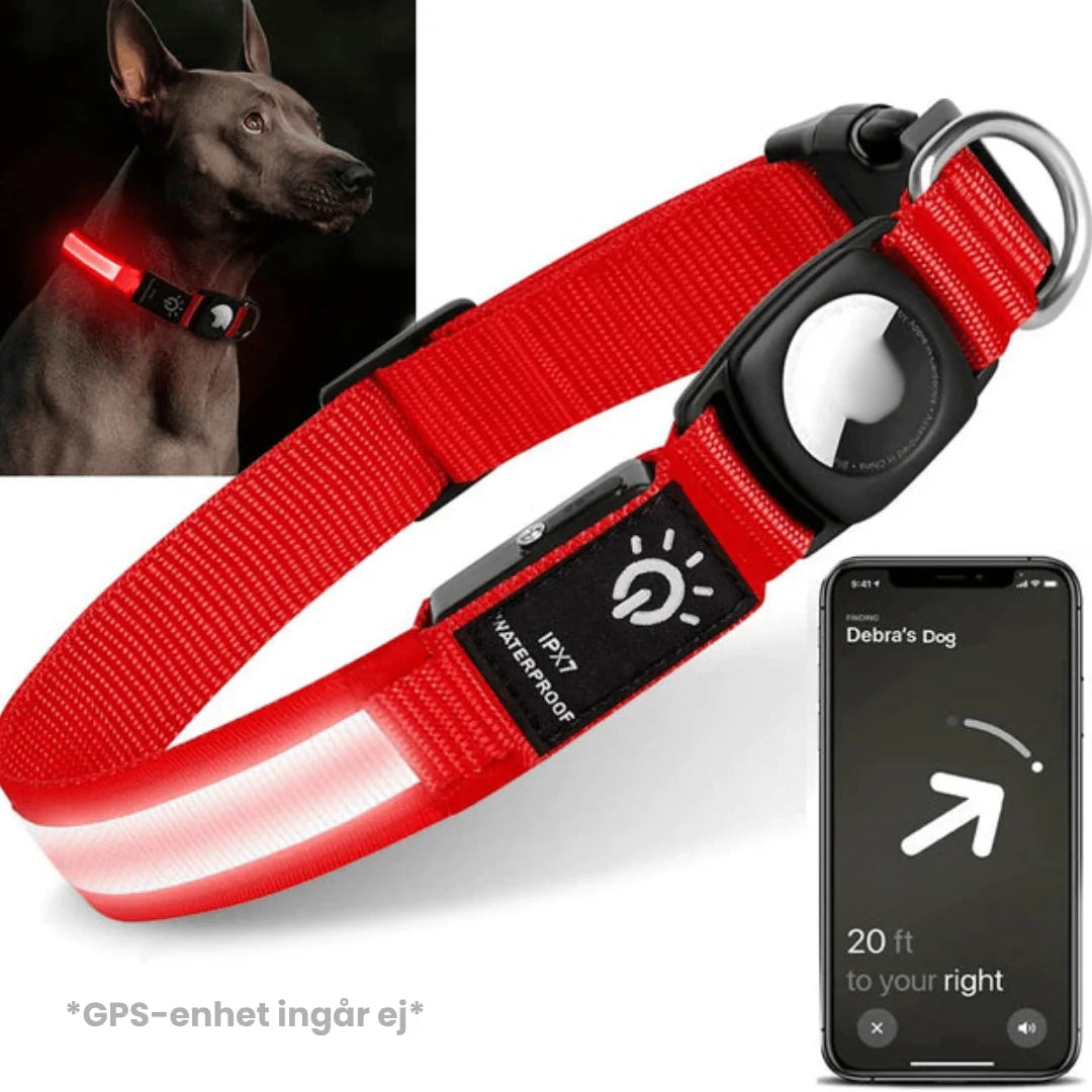 Premium hundhalsband med lysande funktion, för säkerhet och enkel lokalisering av din bästa vän.