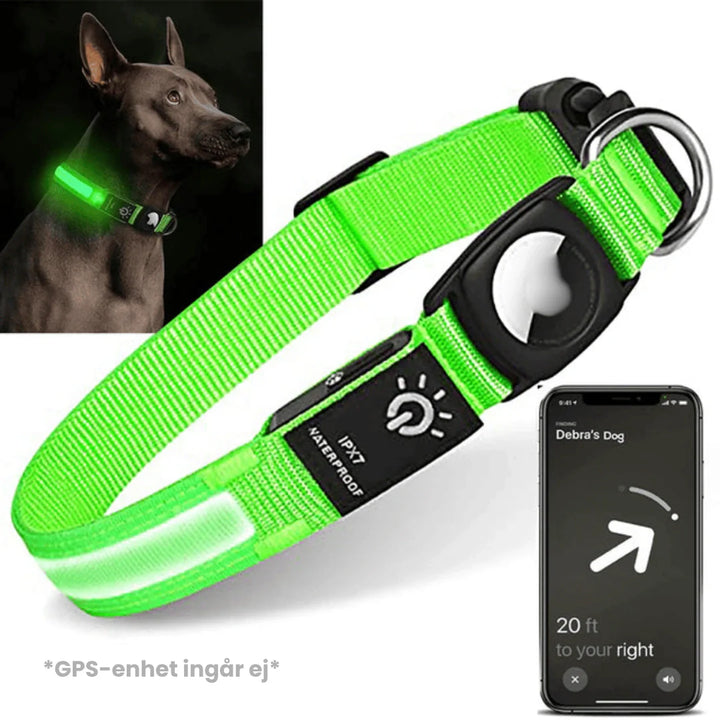 Hållbart lysande nylonhalsband för hundar, med smart fäste för spårsändare och bra synlighet.