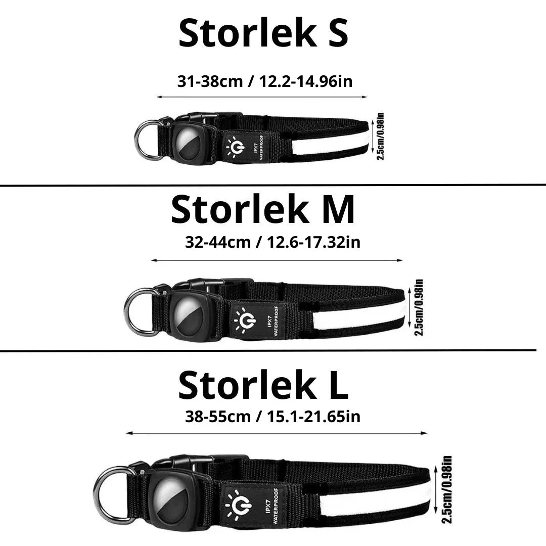 Säkert uppladdningsbart hundhalsband med LED-ljus, ökar synligheten under kvälls- och nattpromenader.