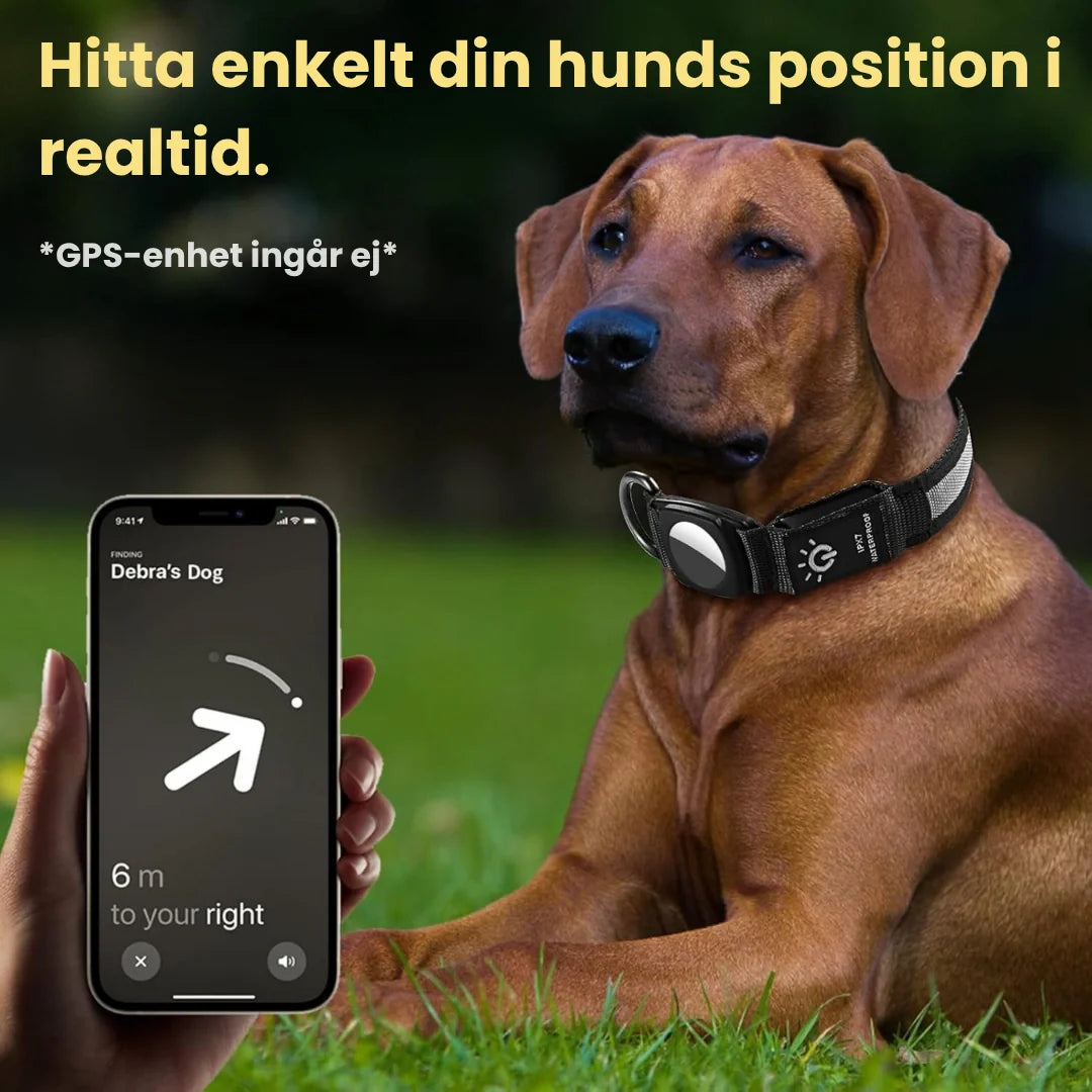 Stryktåligt nylonhalsband med lysande funktion och fäste för spårsändare, garanterar säkerhet.