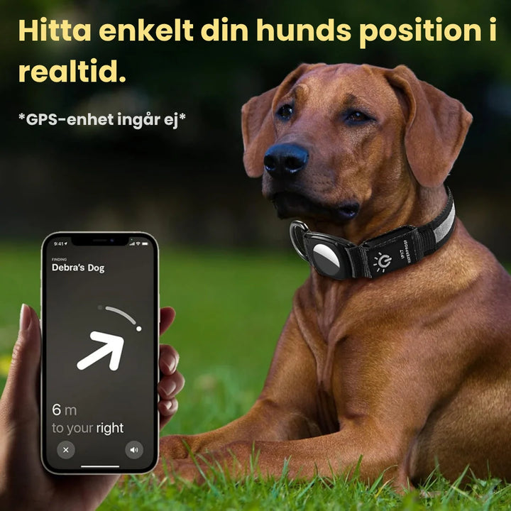 Stryktåligt nylonhalsband med lysande funktion och fäste för spårsändare, garanterar säkerhet.