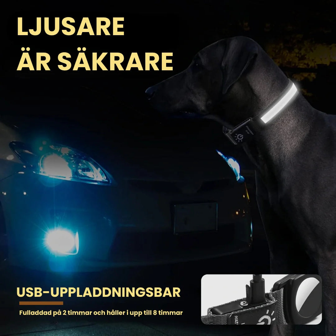 LED-upplyst hundhalsband för Airtag, förbättrar hundens synlighet och trygghet vid nattpromenader.