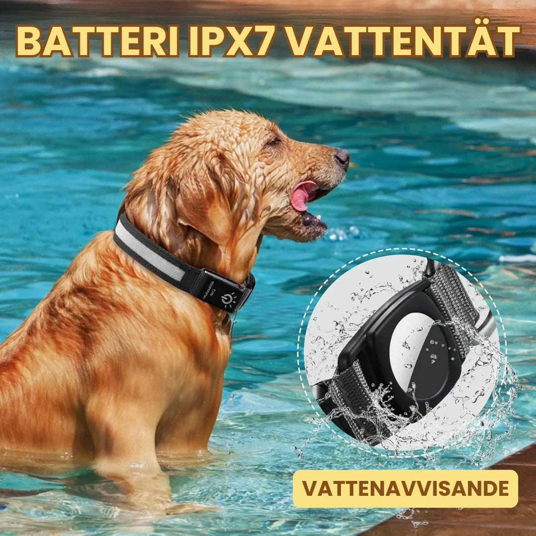 Hundhalsband med integrerad belysning och AirTag-hållare, idealiskt för mörka förhållanden.