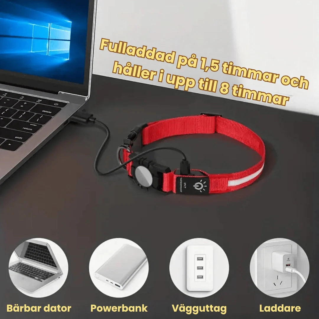 Innovativt lysande hundhalsband för spårsändare, designat för säkerhet och bekvämlighet på nätter.