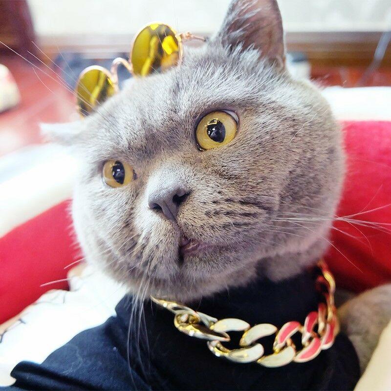 "Lyxigt guldpläterat hundhalsband med hip-hop stil, glänsande finish, tre storlekar, modeaccessoar för husdjur."