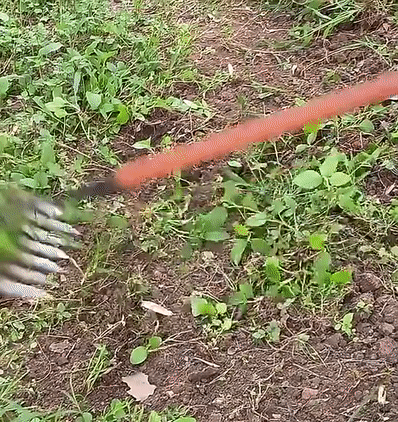 Ogräsrensare i aktion. Tar bort ogräs och luckrar jord i en trädgårdsrabatt för bättre odling.