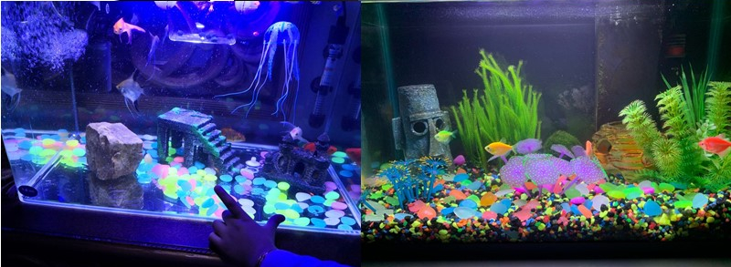 "Magiska glow in the dark stenar för trädgårdsdekoration med slät, rund yta. Perfekt för gångvägar och växter."