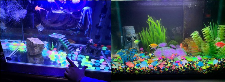 "Magiska glow in the dark stenar för trädgårdsdekoration med slät, rund yta. Perfekt för gångvägar och växter."