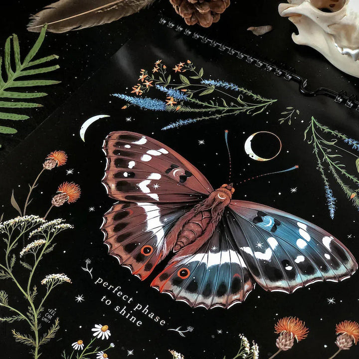 "Månkalender 2023 med mörka skogsmotiv, intrikata illustrationer, fångar natur och magi, fullmåne och stjärntecken."