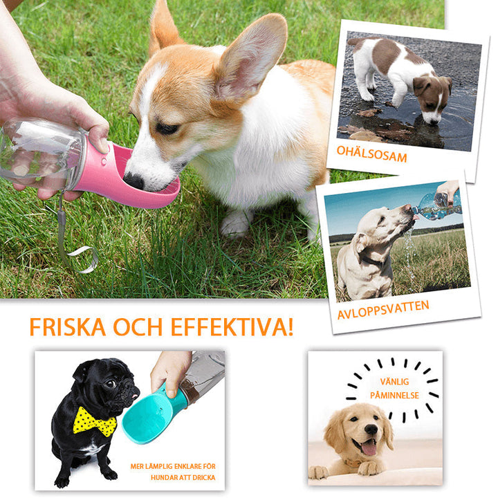 "Miljövänlig hund vattenflaska, läckagesäker, 350/550ml, vit, blå, rosa, förbättrad design för enkel användning utomhus"