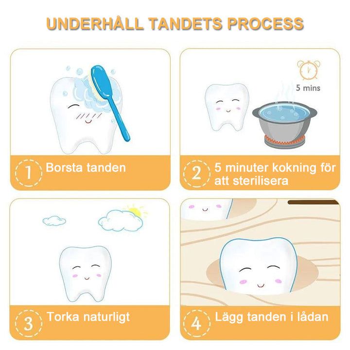 "Miljövänlig tandlåda för barn, pinjeträ, plats för 22 tänder, pojke och flicka, kompakt design, nostalgisk charm."