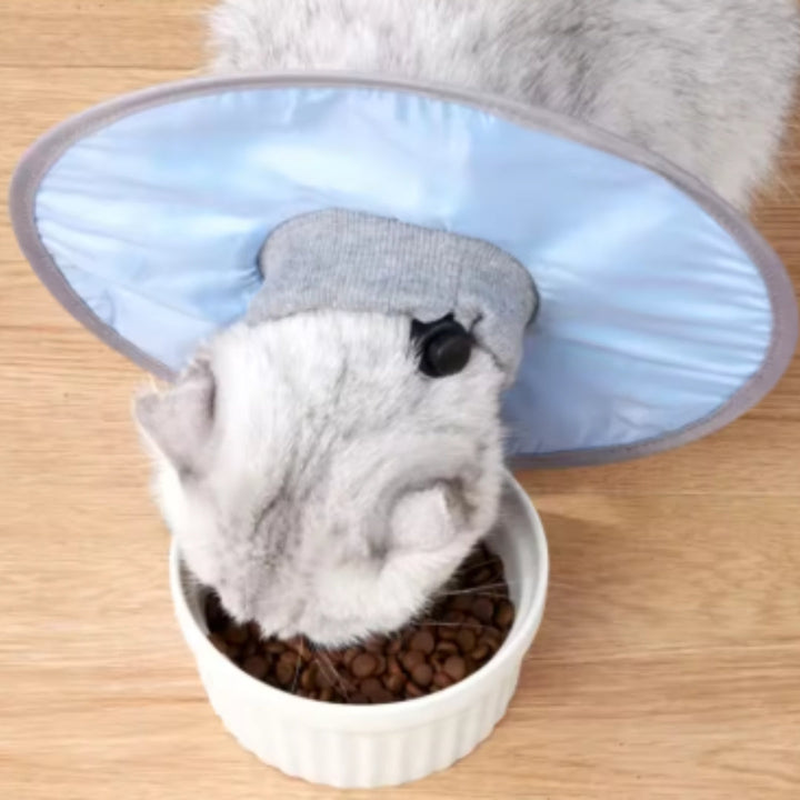 Förebyggande kattkrage i mjukt material. Ger sårskydd och främjar djurhälsa genom att stoppa slickande.