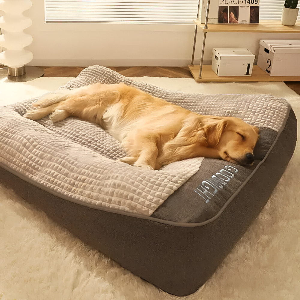 Mjuk, stor anti-stress hundbädd XL för lugn sömn. Bekväm husdjurssäng för hundar.