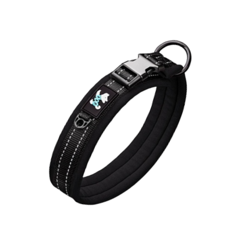 Mjukt, justerbart hundhalsband i neopren för optimal komfort. Idealisk för dagliga promenader.