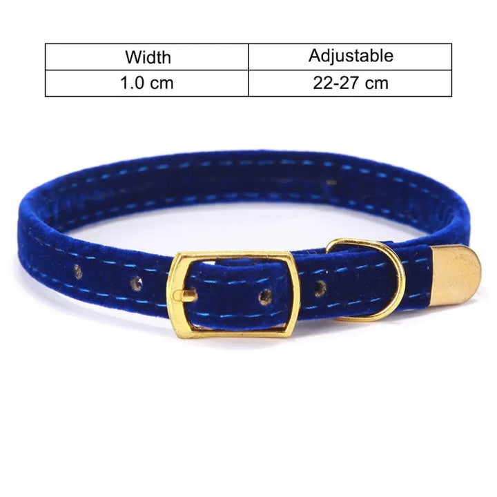 Bekvämt och stilrent sammetshalsband för katt, med justerbar design och elegant guldspänne, ett perfekt tillbehör.