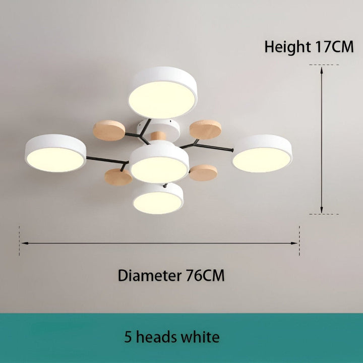 Premium LED taklampa, modern och hållbar. Perfekt som vardagsrumslampa.