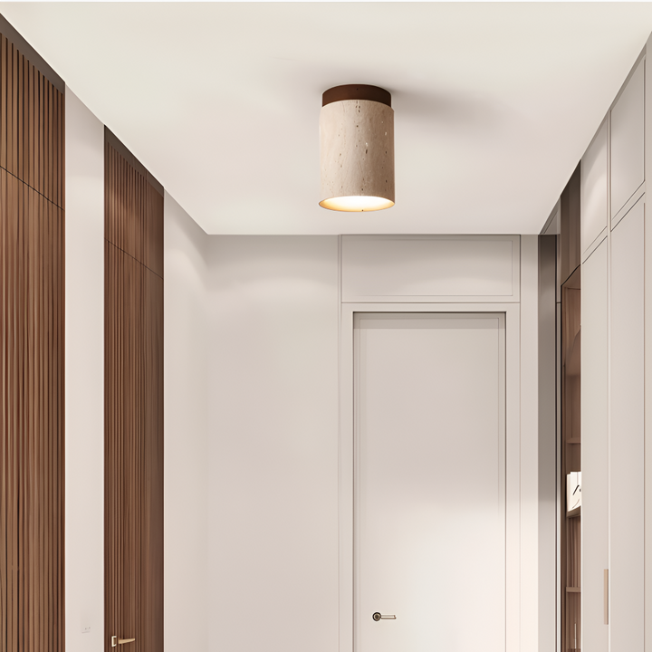 Modern taklampa med integrerad LED-spotlight, perfekt för elegant vardagsrumsbelysning.