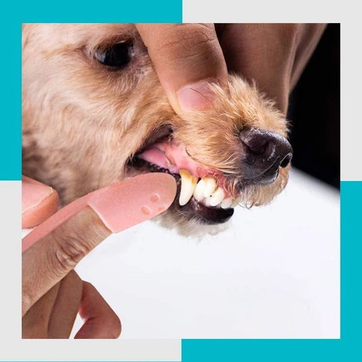 "Multifärgad silikon finger tandborste för hund och katt, mjuk, bekväm och giftfri, idealisk för daglig tandvård."