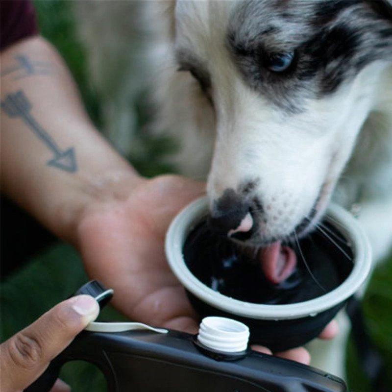 "Multifunktionellt hundkoppel med röd skål, blått band, inbyggd vattenbehållare och avfallspåsar för små och stora hundar."