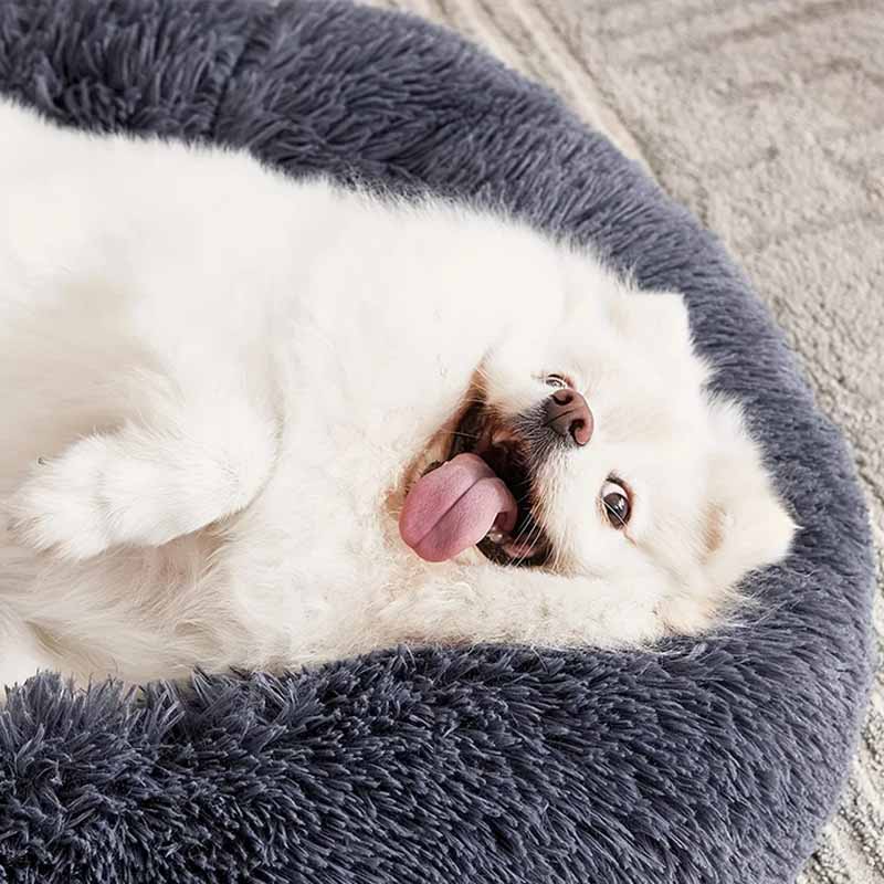 Komfortabel kattbädd i plysch, varm och mysig sovplats för ditt husdjur att slappna av i.