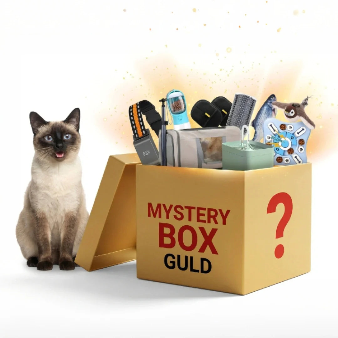 Spänning garanteras! Mystery Box för husdjur: en presentbox med utvalda premiumprodukter, leksaker & godis för hund/katt.