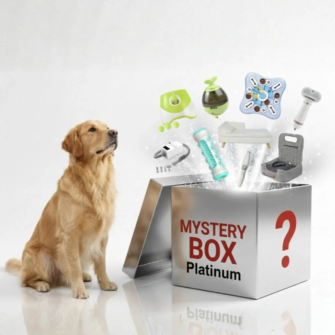 Upptäck glädjen med en överraskningsbox för husdjur! Mystery Box med noggrant utvalda leksaker, godis & tillbehör.