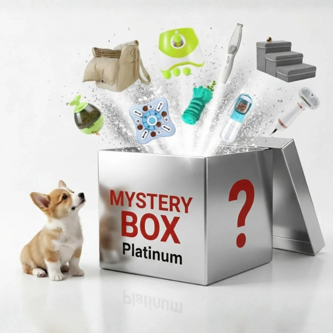 Mystery Box för husdjur med handplockade leksaker och läckert godis för både hund och katt. En rolig överraskning.