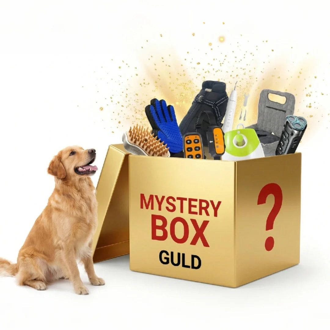 Stor överraskningsbox för hundar & katter. Fylld med nya, spännande produkter: leksaker, godis & tillbehör varje gång.