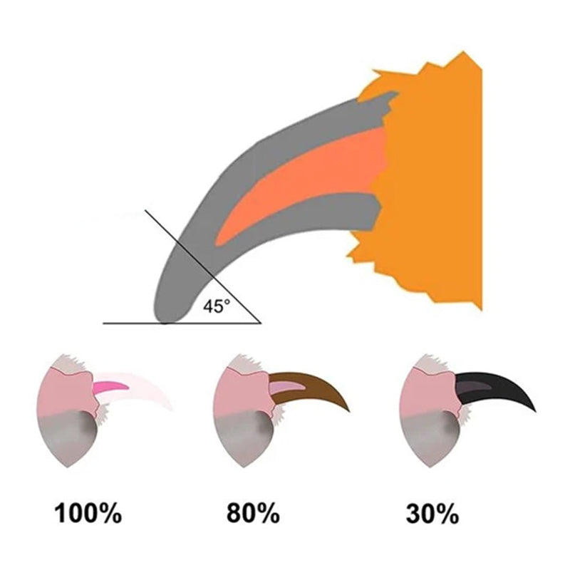 "Nagelklippare för husdjur med LED-ljus, vitt ergonomiskt handtag och inbyggd förvaringslåda, perfekt för säker klippning."