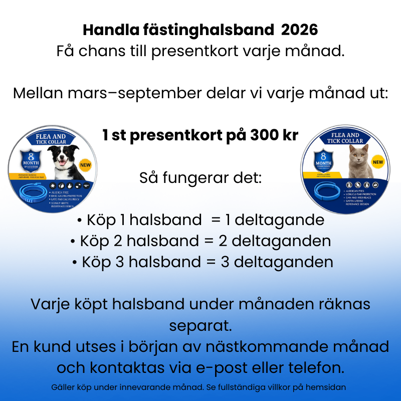 Närbild på naturligt fästinghalsband för djurvård, erbjuder fästing- och loppskydd i upp till 8 månader.
