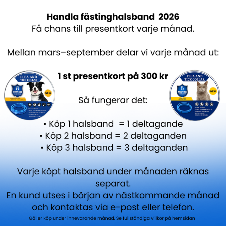 Närbild på naturligt fästinghalsband för djurvård, erbjuder fästing- och loppskydd i upp till 8 månader.