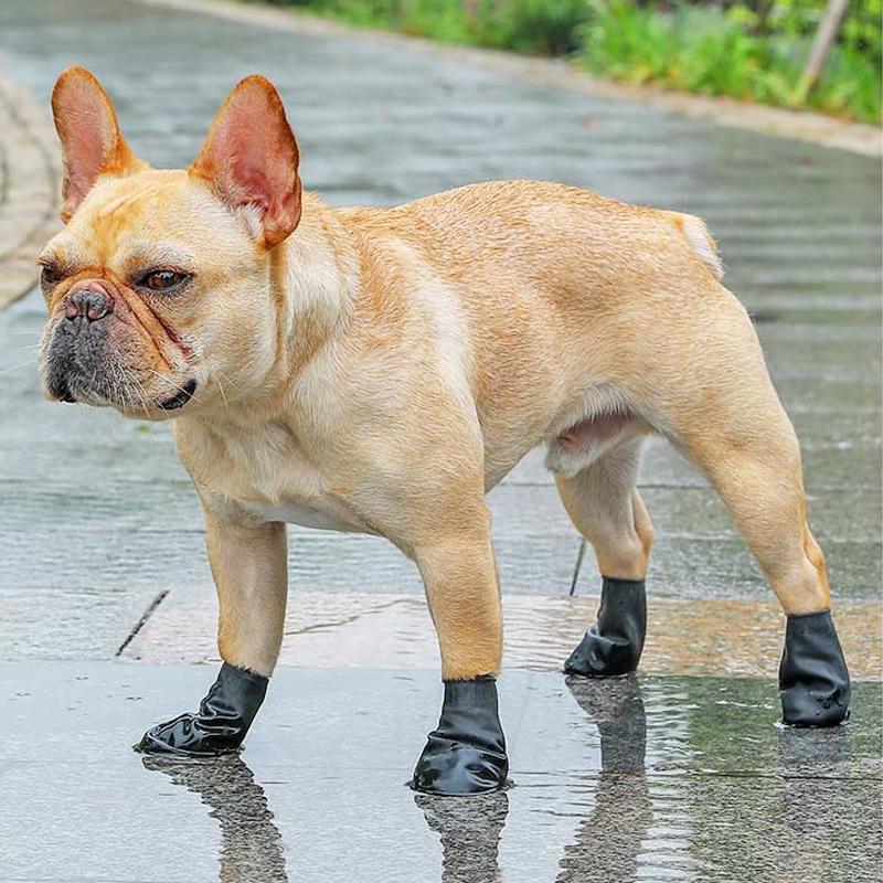 Orange vattentäta hundskor med bra grepp och komfort, perfekt för alla väder och hundpromenader, syns på tassar.