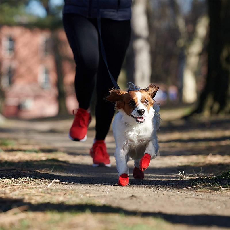 Orange vattentäta hundskor med bra grepp och komfort, perfekt för alla väder och hundpromenader, syns på tassar.