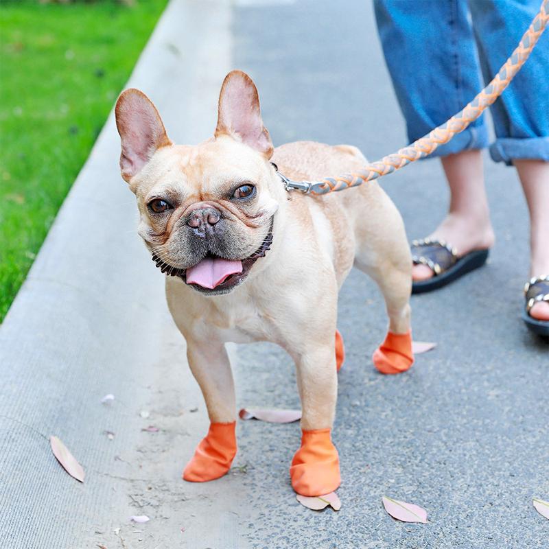 Orange vattentäta hundskor med bra grepp och komfort, perfekt för alla väder och hundpromenader, syns på tassar.