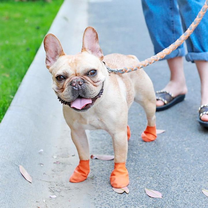 Orange vattentäta hundskor med bra grepp och komfort, perfekt för alla väder och hundpromenader, syns på tassar.